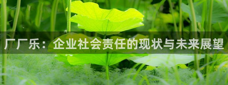 500网app下载