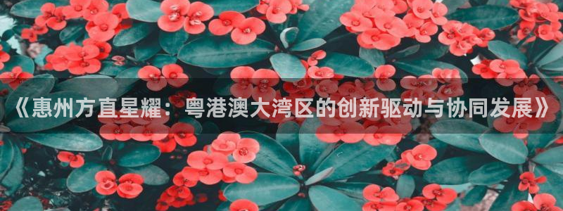 500彩票网官网