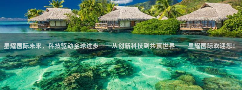 足球比赛500网