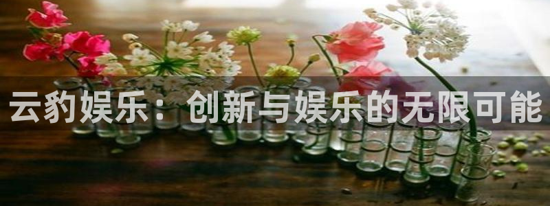 今天比赛结果查询500网