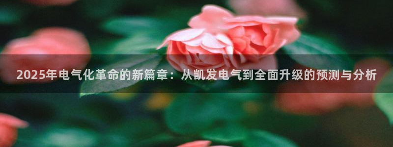 500网仅提供数据和内容