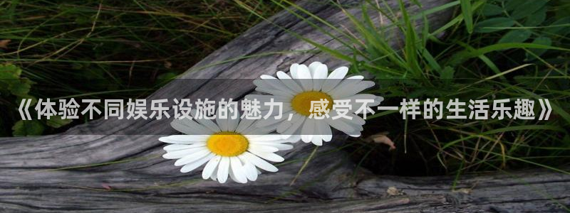 500网足球即时比分