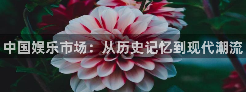 500网比分即时网