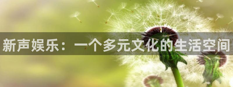 500网混合过关