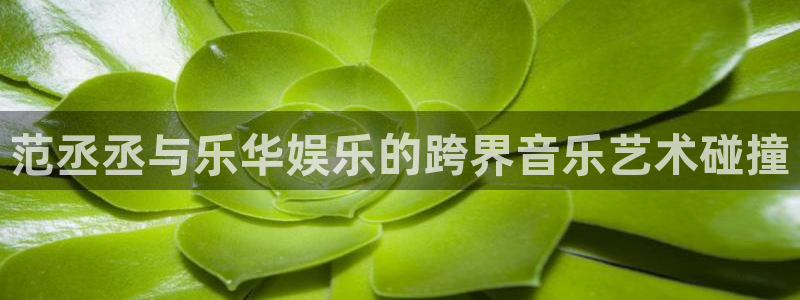 500网预测一个比分
