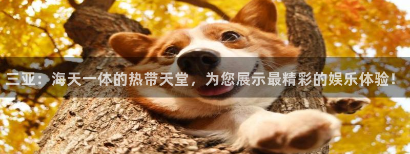 500网混合过关