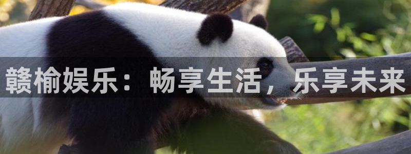 足球比赛开奖结果500网