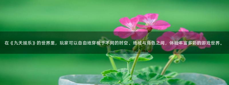 500网安卓版下载：在《九天娱乐》的世界里，玩家可以自由地穿梭于不同的时空、地域与角色之间，体验丰富多彩的游戏世界。