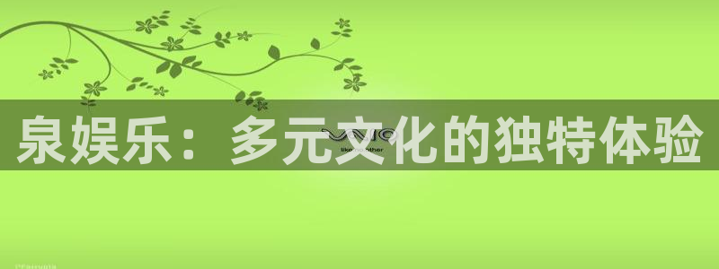今天是球比赛500网：泉娱乐：多元文化的独特体验