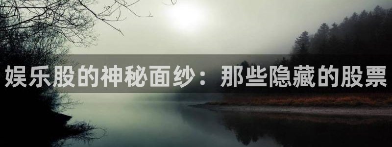 500网安卓版下载：娱乐股的神秘面纱：那些隐藏的股票