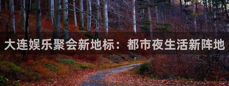500网app下载：大连娱乐聚会新地标：都市夜生活新阵地