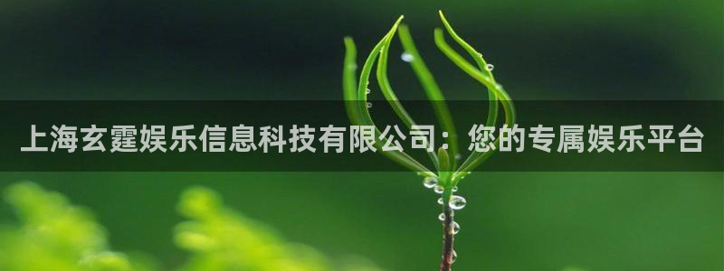 今天是球比赛500网：上海玄霆娱乐信息科技有限公司：您的专属娱乐平台