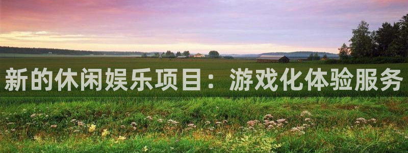 凯利指数欧赔500网：新的休闲娱乐项目：游戏化体验服务