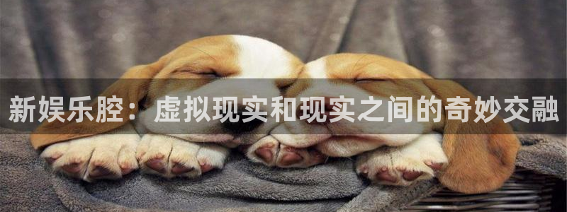 篮球比赛结果查询500网：新娱乐腔：虚拟现实和现实之间的奇妙交融