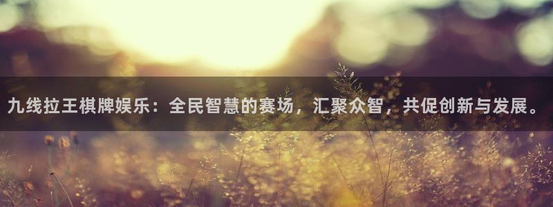 500网app：九线拉王棋牌娱乐：全民智慧的赛场，汇聚众智，共促创新与发展。