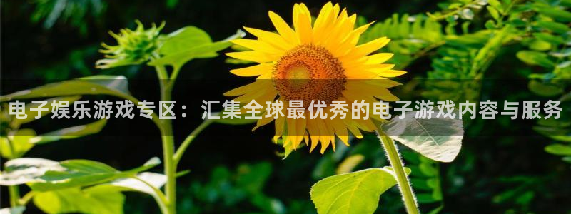 500网足球比分：电子娱乐游戏专区：汇集全球最优秀的电子游戏内容与服务