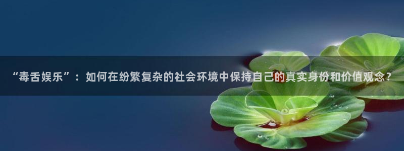 500网app是什么软件：“毒舌娱乐”：如何在纷繁复杂的社会环境中保持自己的真实身份和价值观念？