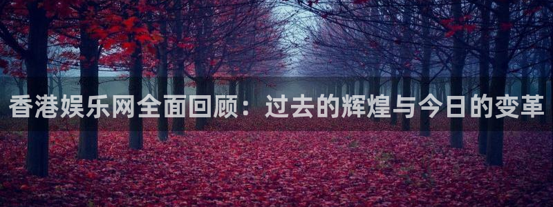 500网竞彩比分直播：香港娱乐网全面回顾：过去的辉煌与今日的变革
