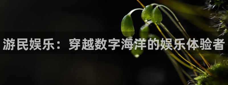 500网预测一个比分：游民娱乐：穿越数字海洋的娱乐体验者